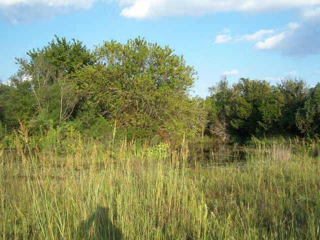 Lot 12 Warfield