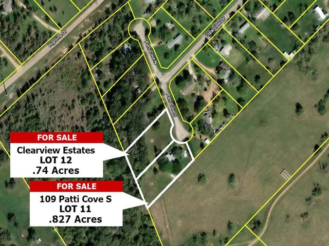 Lot 12 Patti CV