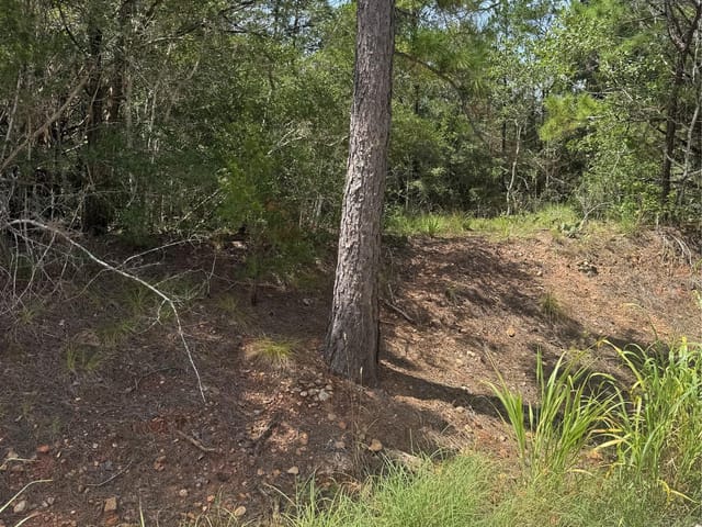Lot 1252 TBA Hanauma DR