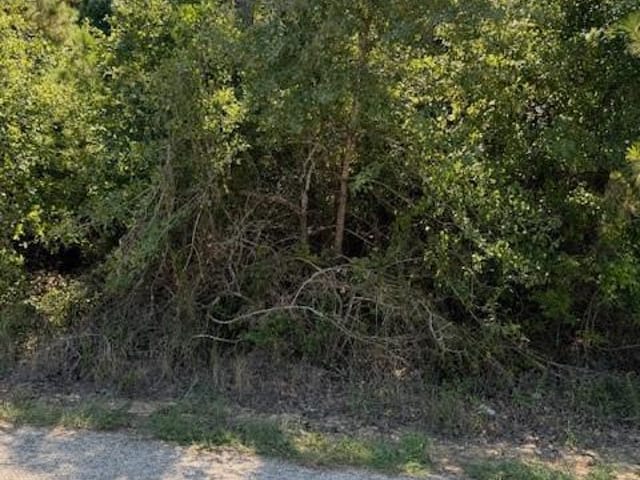 Lot 1355 N Kaupo DR