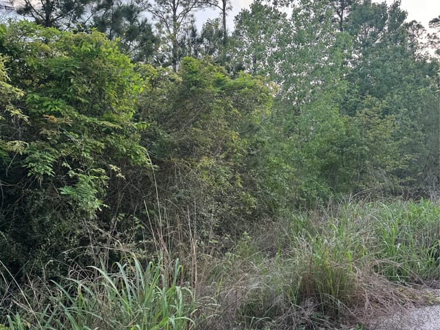 Lot 1386 N Pahihi Dr