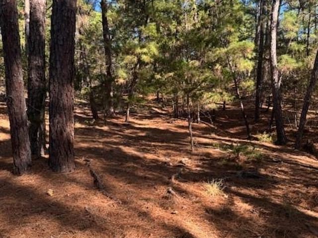 Lot 1395 Kaupa CT