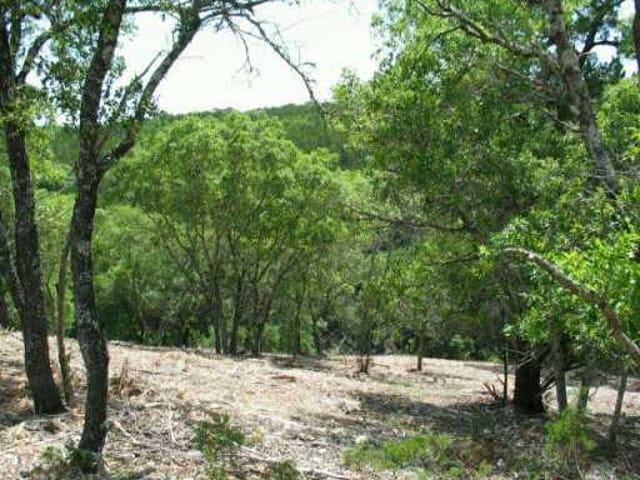 LOT 15 REED PARK RD
