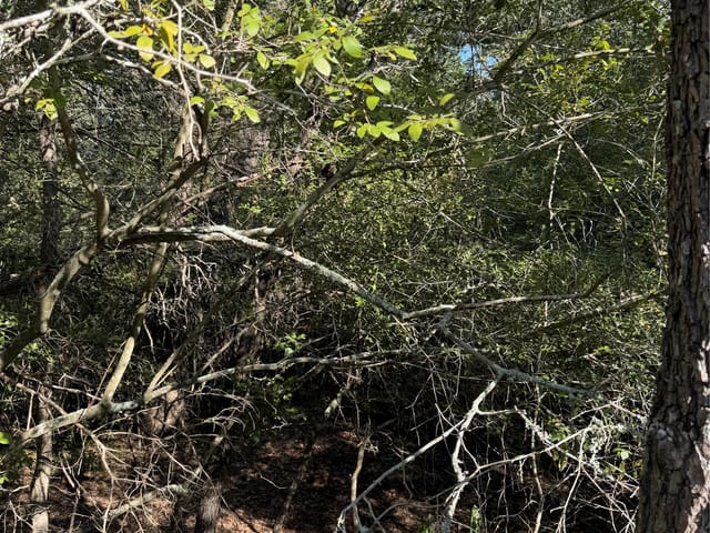 Lot 189 Kaelupulu DR