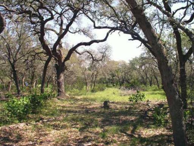 Lot 1A River Mountain RD
