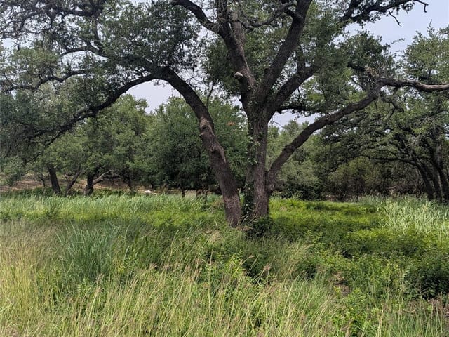Lot 2 Hamilton Pool Rd