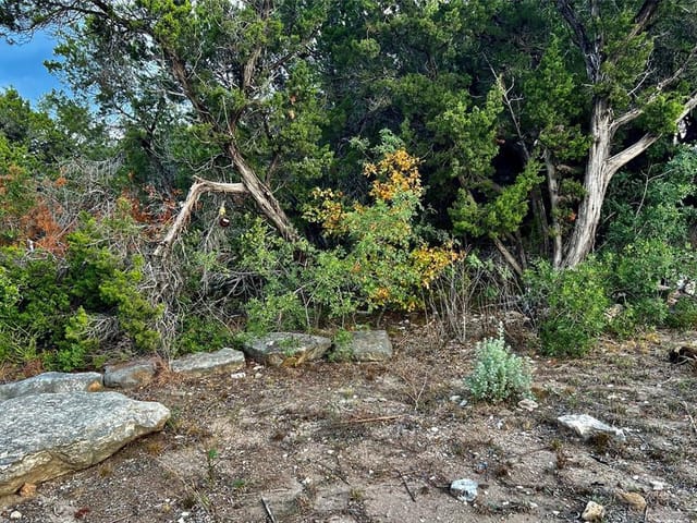 LOT 2 TEXAS St