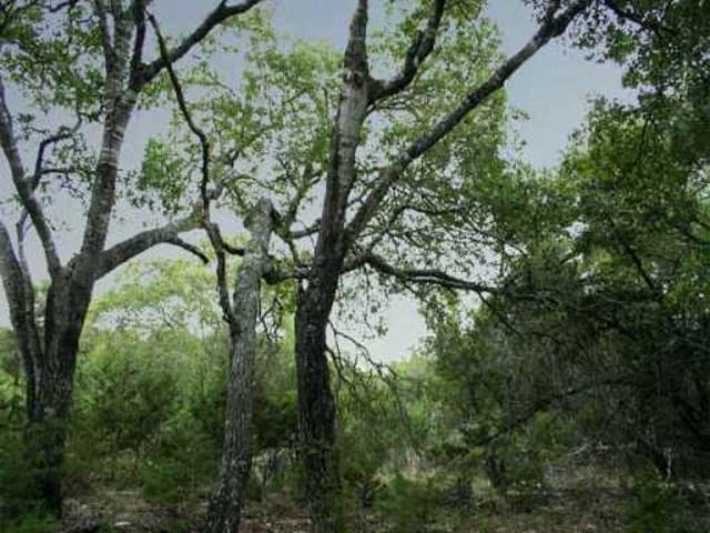 Lot 20 Winding Creek RD