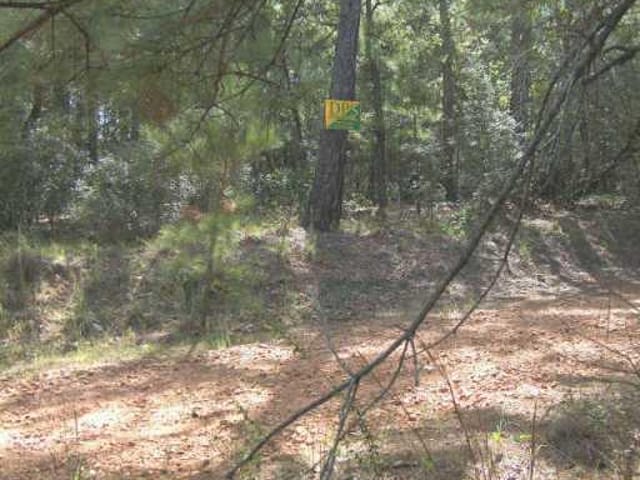lot 21 Pine Shadow LN