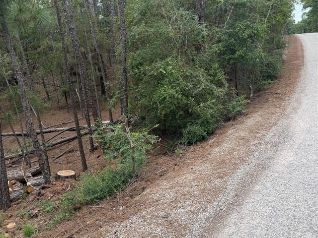 Lots 213 and 214 Hekili DR