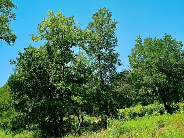 Lot 22 Serenity DR