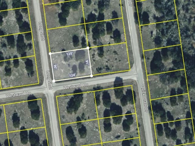 Lot 22244 Westward Ho/Long Shot