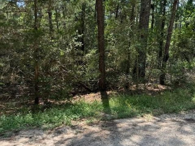 Lot 250 Hekili Dr