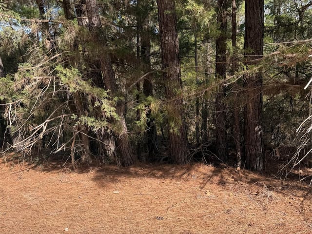 Lot 266 Wainee Dr