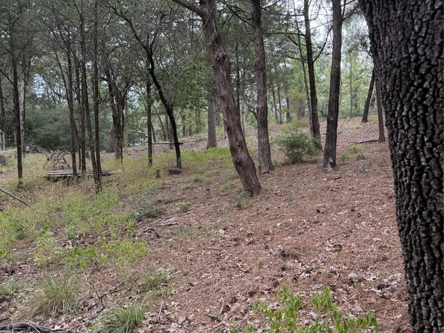 Lot 289 Aka CT