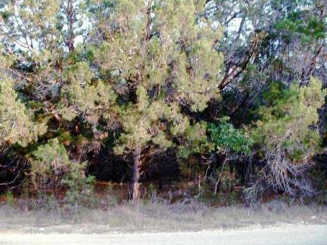 LOT 29 SADDLE ROCK RDG