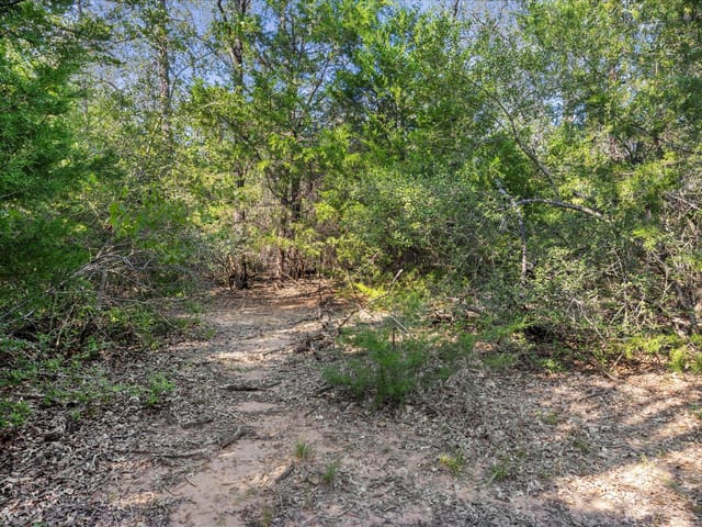 Lot 29 Walleye Creek TRL
