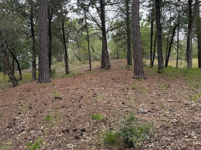 Lot 290 Aka CT