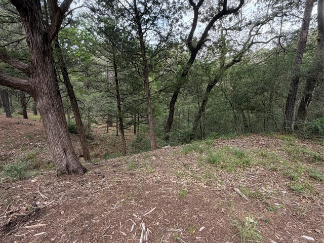 Lot 293 Aka CT