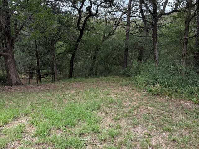 Lot 294 Aka CT