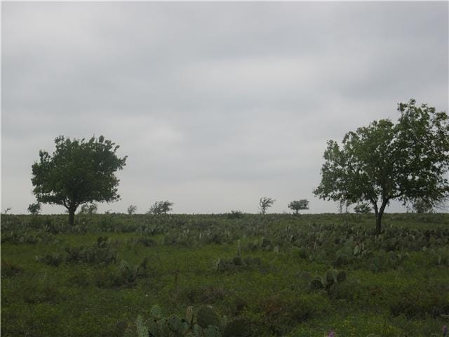 Lot 3 County Road 210
