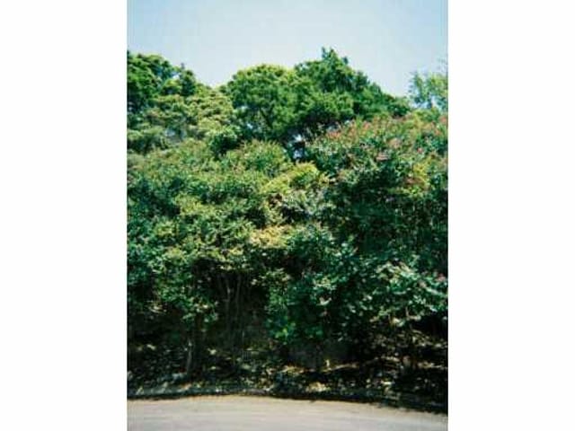 Lot 30 MOUNTAIN VILLA CIR