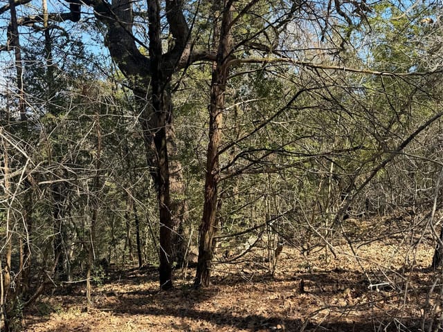 Lot 321 Keneka Ln