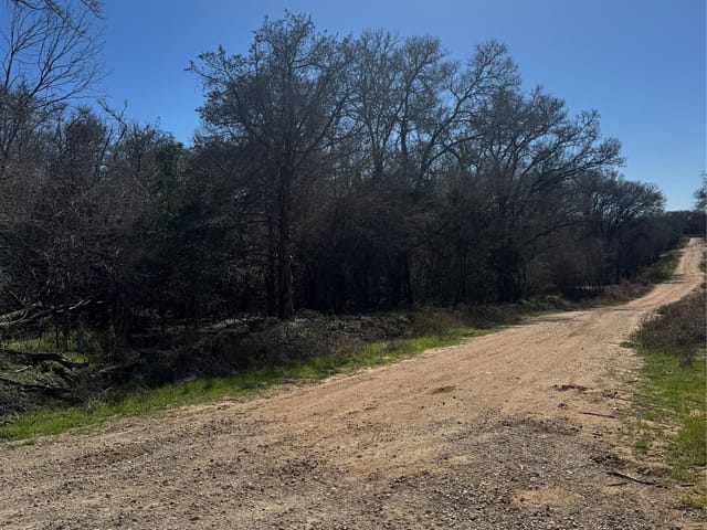 Lot 321 Kolekole Ln