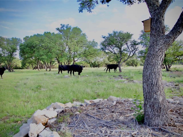 Lot 33 Starfall Dr