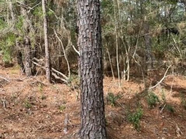 Lot 345 Wainee Dr