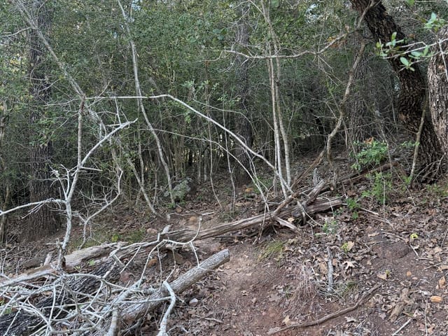 Lot 376 Palikea CIR