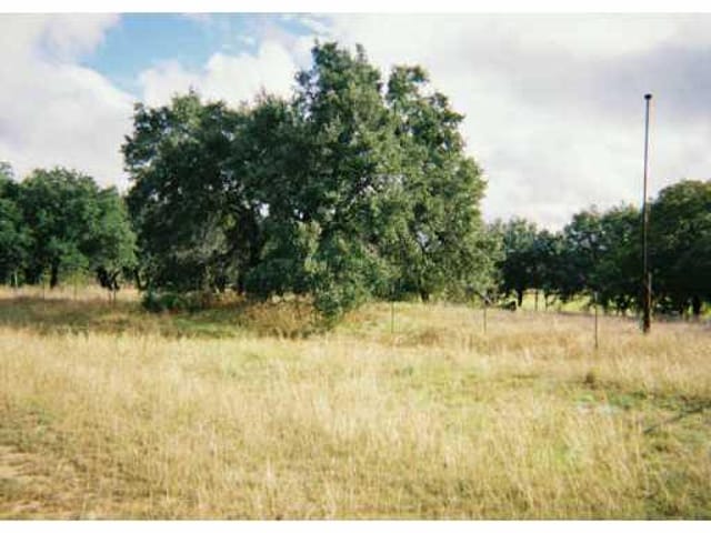 Lot 39 CO RD 257