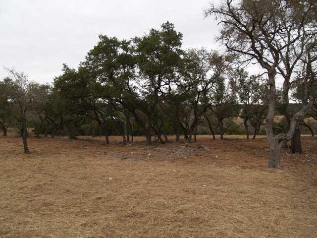 Lot 39 Moss Rose LN
