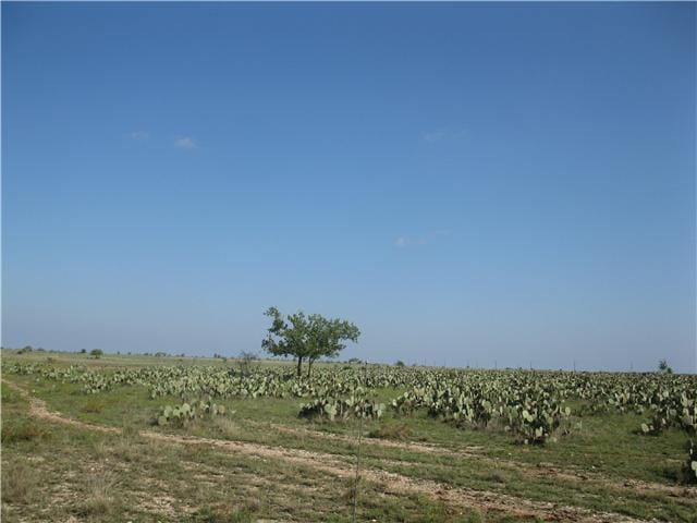 Lot 4 County Road 210