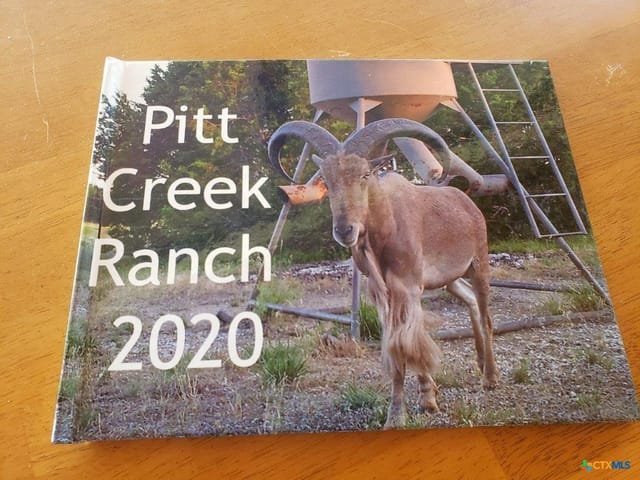 Lot 4 CR 1255 Pitt Creek Ranch