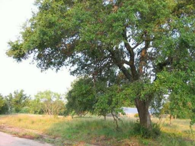 Lot 4 Haynie Flat RD