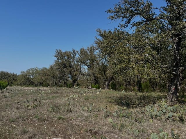 Lot 42 Waterbuck WAY
