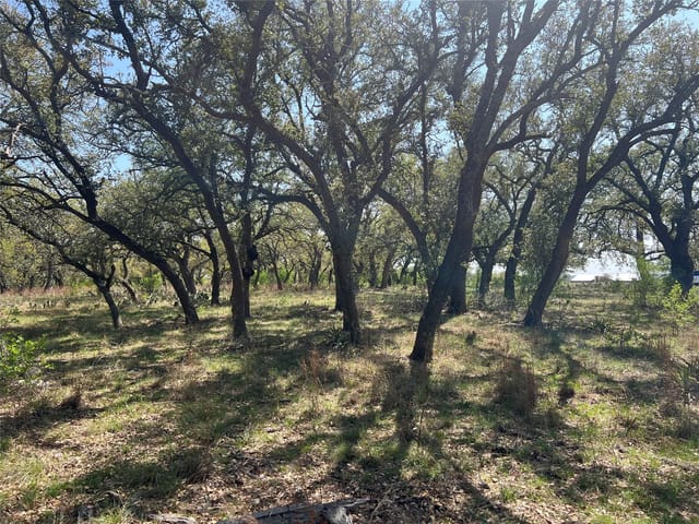 Lot 43 Waterbuck WAY