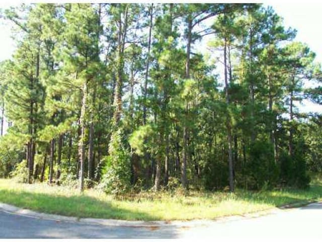Lot 46 Pine View LOOP