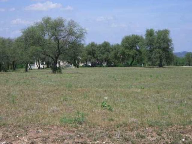 Lot 5 Cliff CV