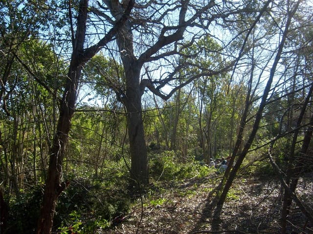 Lot 5 E Applegate Dr