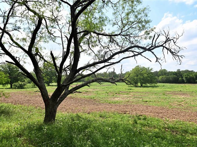 Lot 5 Valley Creek Dr