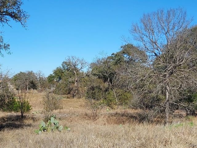 Lot 50 Pristine Pass