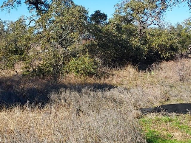 Lot 50 Pristine PASS