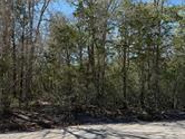 Lot 539 Iva LN