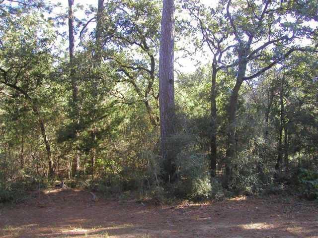 Lot 57 Teal DR
