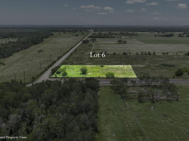 Lot 6 Fm 795
