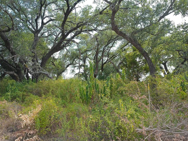 Lot 64 Rycen DR