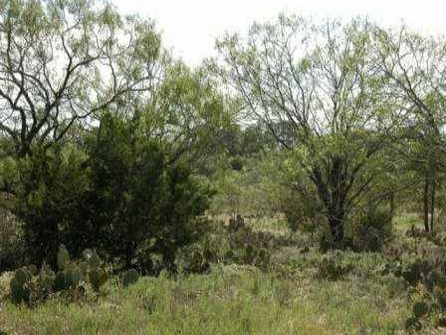 Lot 65 Cottontail DR
