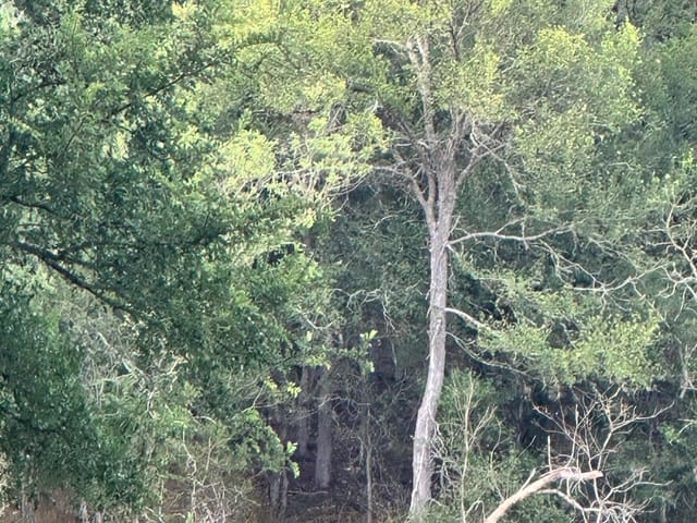 lot 676 Kaukonahua Ln